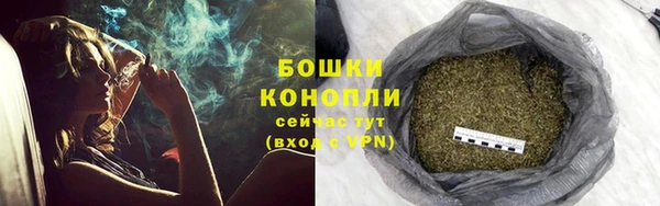 мдпв Богородск