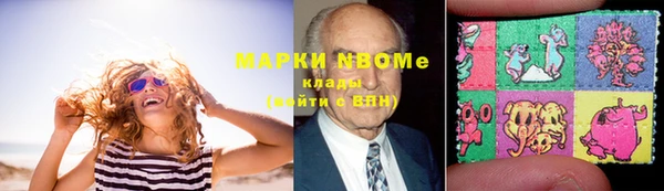 мдпв Богородск
