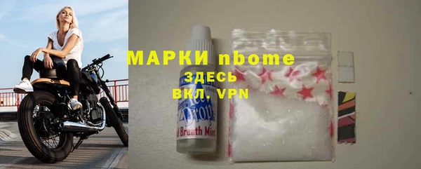 мдпв Богородск
