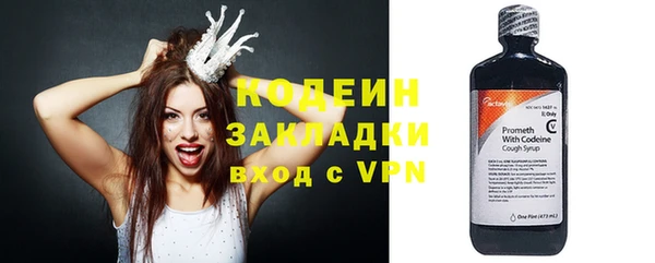 хмурый Богородицк