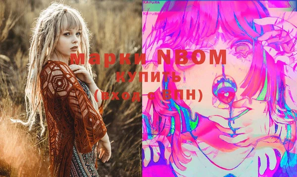 мдпв Богородск