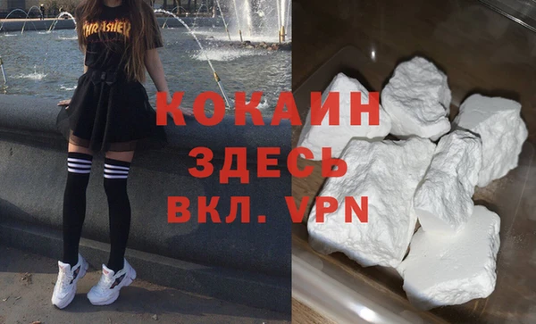 мдпв Богородск