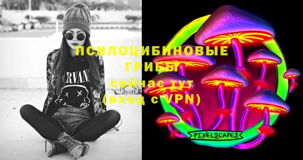 хмурый Богородицк
