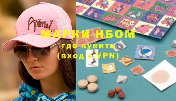 прущие грибы Михайловка
