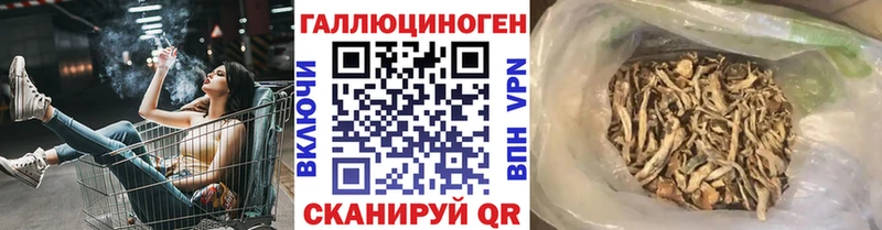 Псилоцибиновые грибы MAGIC MUSHROOMS Купить Корсаков